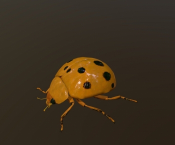 Modern Other Animals-ID:778882035