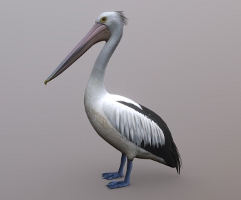 Modern Flying Animals-ID:659039028