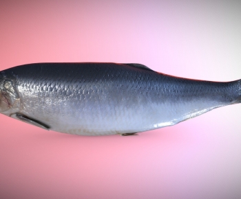Modern Aquatic Product-ID:817761904