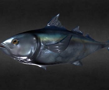 Modern Aquatic Animals-ID:117536073