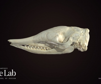 Modern Medical Equipment-ID:100672961