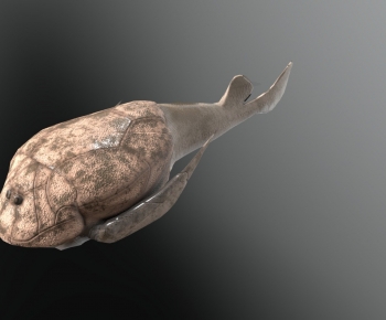 Modern Animal-ID:343693021