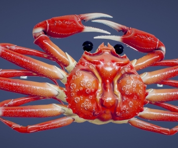 Modern Aquatic Product-ID:964891919
