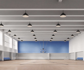 Modern Basketball Arena-ID:188670232