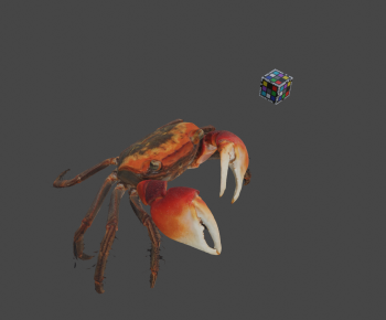 Modern Animal-ID:661151892