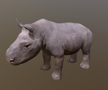 Modern Animal-ID:752255925