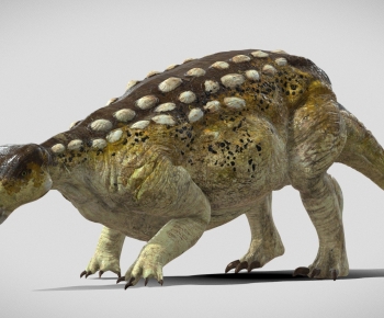 Modern Animal-ID:203986888
