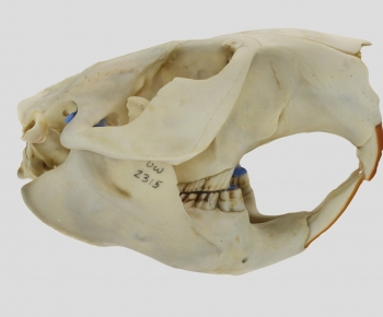 Modern Medical Equipment-ID:996964933