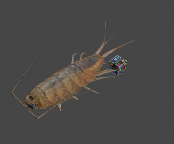 Modern Animal-ID:149327048