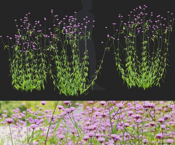 Modern Flowers And Grass-ID:923274048