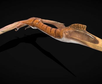 Modern Animal-ID:289700981