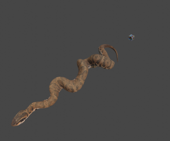 Modern Reptile-ID:311912063