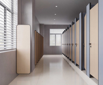 Modern Public Toilet-ID:234743125