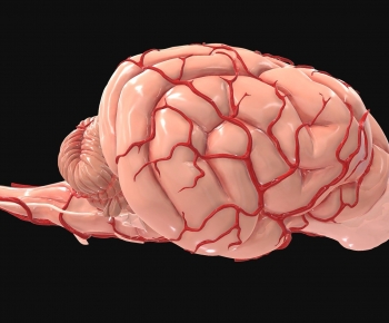 Modern Medical Equipment-ID:563885932