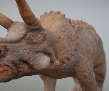 Modern Other Animals-ID:232834109