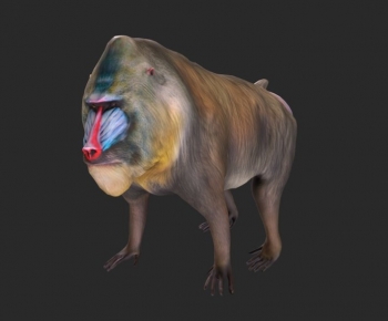 Modern Animal-ID:464616064