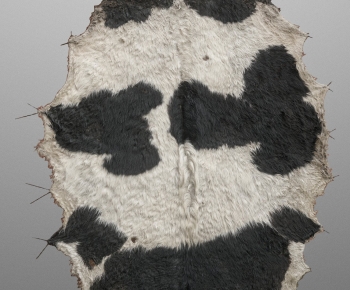 Modern Animal Fur-ID:496041062