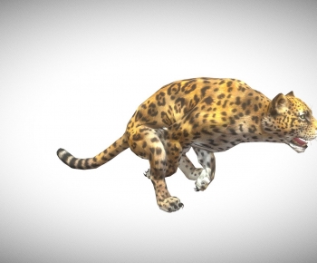 Modern Animal-ID:557420025