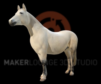 Modern Mammal-ID:696540126