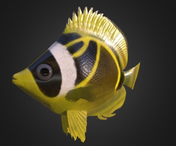 Modern Animal-ID:288701111