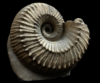 Modern Medical Equipment-ID:533993013