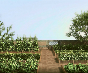 Modern Crop-ID:199381115