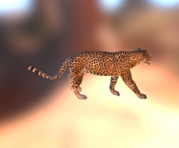 Modern Mammal-ID:620596894