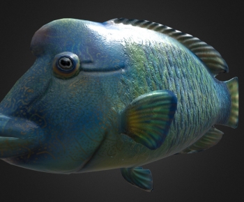 Modern Aquatic Animals-ID:742394926