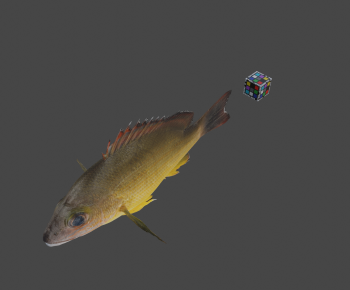 Modern Aquatic Animals-ID:115103963