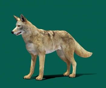 Modern Animal-ID:360600958