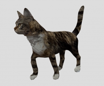 Modern Animal Cat-ID:822952032