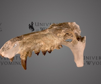 Modern Medical Equipment-ID:845638046