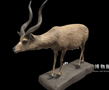 Modern Mammal-ID:664722925