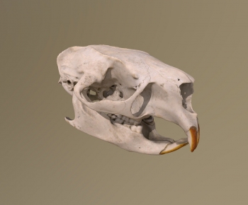 Modern Medical Equipment-ID:864901078