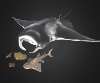 Modern Animal-ID:498454099