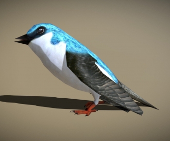 Modern Flying Animals-ID:682729016