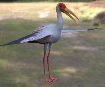 Modern Flying Animals-ID:200292111