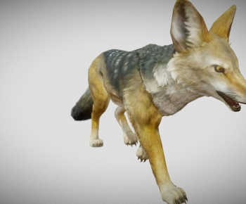 Modern Mammal-ID:525923017