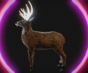 Modern Animal-ID:674410108