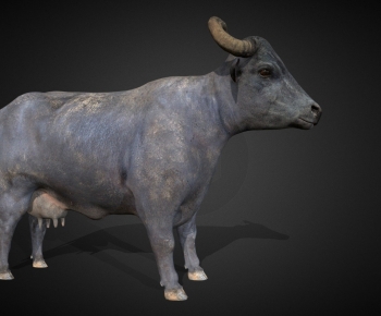 Modern Animal-ID:520282032