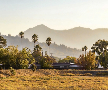 Modern Landscape-ID:449063062