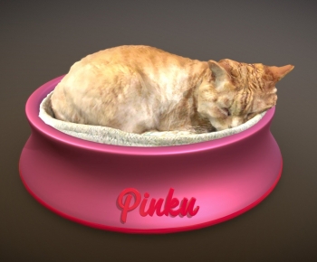 Modern Animal Cat-ID:622562896