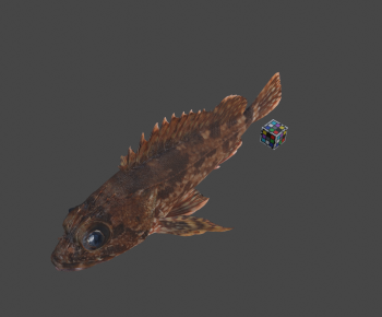 Modern Animal-ID:391874078