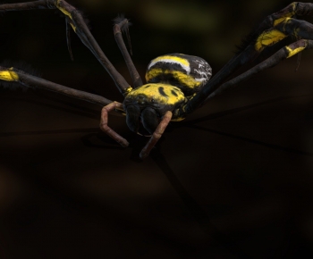 Modern Animal-ID:754591947