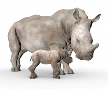 Modern Mammal-ID:346508988