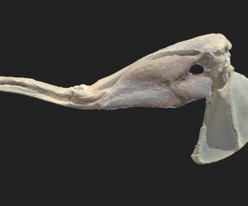 Modern Medical Equipment-ID:548233998