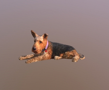 Modern Animal Dog-ID:209321983