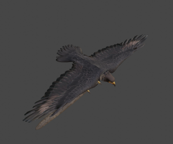 Modern Flying Animals-ID:489583972
