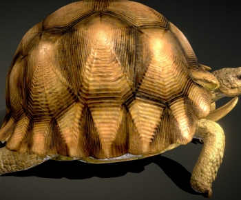 Modern Animal-ID:104570432