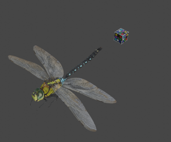 Modern Flying Animals-ID:870201118
